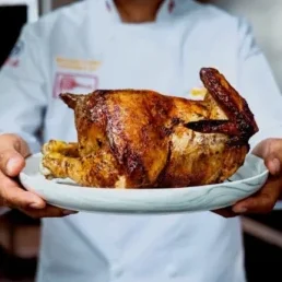 pollo144